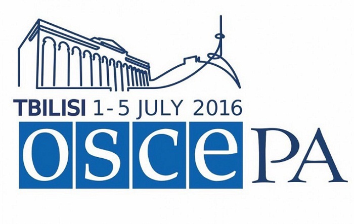 Armenian MP committed provocation in OSCE PA meeting - Azerbaijani MP
